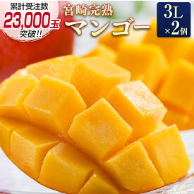 宮崎完熟マンゴー3Lサイズ×2個 西都市特産品 先行予約 令和8年産
宮崎県西都市