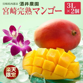 酒井農園 西都産 宮崎完熟マンゴー3L×2個【産地直送】「楽天限定」
宮崎県西都市