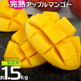 ご家庭用でも極上に美味しい完熟アップルマンゴー約1.5kg
沖縄県大宜味村