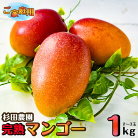 杉田農園 完熟マンゴー約1kg「訳あり」ご家庭用（西都産）
宮崎県西都市