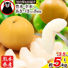 <2026年先行予約> 梨 約3.5kg 熊本県長洲町