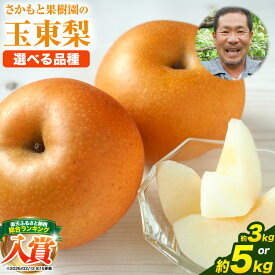 さかもと果樹園の玉東梨 約3kg 熊本県玉東町