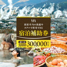 大分県別府市
宿泊補助券（別府市）