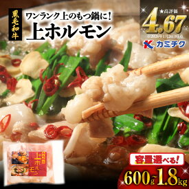 <選べる> ワンランク上 の もつ鍋 に! 上ホルモン 600g
鹿児島県鹿児島市