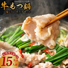 国産 牛 もつ鍋 9~15人前 スープ セット 定期便 塩こうじ
大阪府泉佐野市