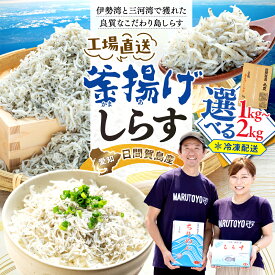 【配送月選べる】 しらす 350g～2kg 訳あり ［丸豊］ 愛知県南知多町