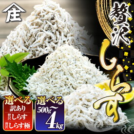 【特別寄附額】【最短翌日発送】 選べる 国産しらす 500g～4kg 訳あり ［山庄］
愛知県南知多町
