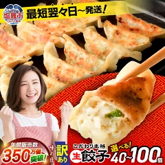 ふるさと納税還元率第一位の高評価 訳あり 餃子 選べる量 40個（宮城県塩竈市）
