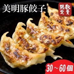 ふるさと納税第4位の美明豚「びめいとん」のジューシー餃子60個（30個入り×2袋）（茨城県行方市）