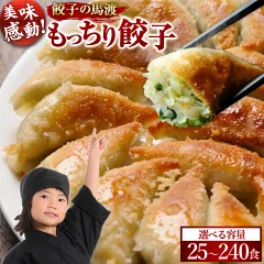 ふるさと納税還元率第5位の宮崎名物もっちり餃子国産25個（宮崎県高鍋町）
