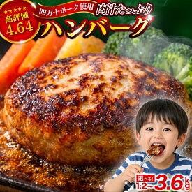 ふるさと納税還元率・第9位の四万十ポーク 入り ハンバーグ 200g x 6個（高知県須崎市）