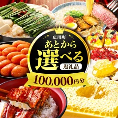 【福岡県広川町】ふるさと 10万円分[AFZZ003]