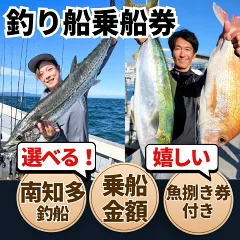 【愛知県南知多町】選べる