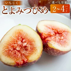 【福岡県うきは市】いちじく とよみつひめ 2パック