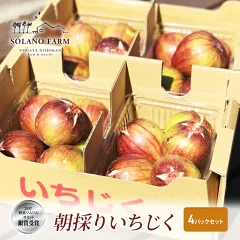 【新潟県新潟市】そら野テラスの朝採りいちじく 4パック