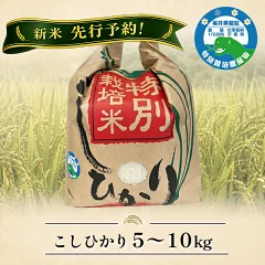 【福井県越前市】新米予約開始 「こしひかり」精米 5kg