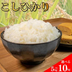 コシヒカリ 無洗米 5kg 徳島県阿波市