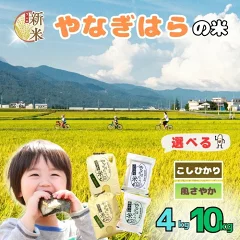 【長野県飯山市】特別栽培米 選べる 品種 白米 4kg